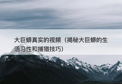 大巨蟒真实的视频（揭秘大巨蟒的生活习性和捕猎技巧）-图1