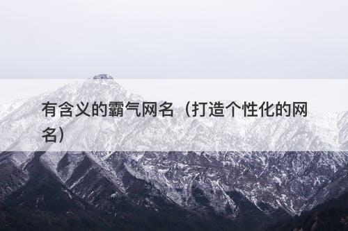 有含义的霸气网名（打造个性化的网名）-图1
