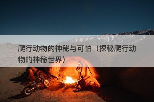 爬行动物的神秘与可怕（探秘爬行动物的神秘世界）-图1