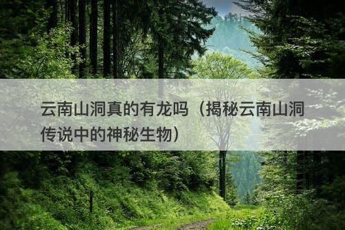 云南山洞真的有龙吗(揭秘云南山洞传说中的神秘生物)-图1 云南山洞真的有龙吗(揭秘云南山洞传说中的神秘生物)-图1