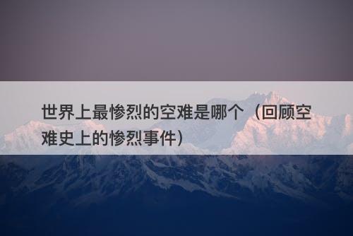 世界上最惨烈的空难是哪个（回顾空难史上的惨烈事件）-图1