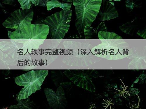 名人轶事完整视频（深入解析名人背后的故事）-图1