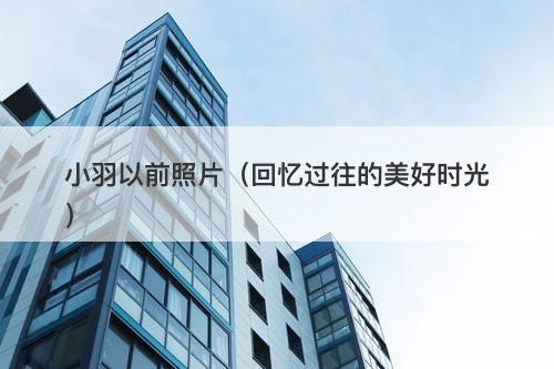 小羽以前照片（回忆过往的美好时光）-图1