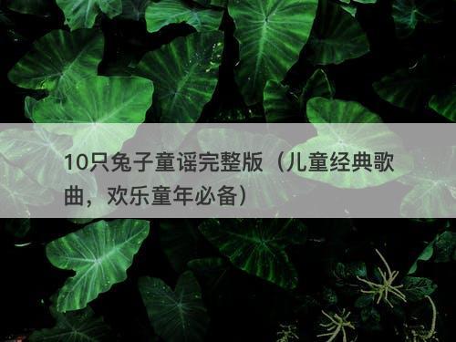 10只兔子童谣完整版(儿童经典歌曲,欢乐童年必备)-图1 10只兔子童谣完整版(儿童经典歌曲,欢乐童年必备)-图1