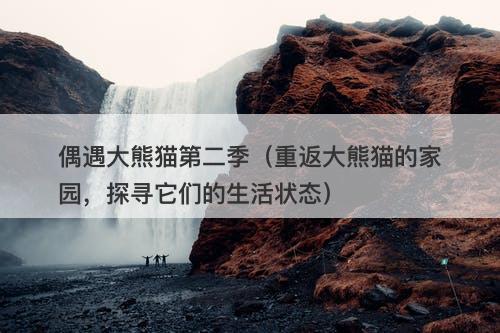 偶遇大熊猫第二季（重返大熊猫的家园，探寻它们的生活状态）-图1