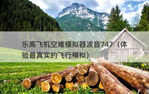 乐高飞机空难模拟器波音747（体验最真实的飞行模拟）-图1