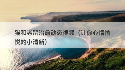 猫和老鼠治愈动态视频（让你心情愉悦的小清新）-图1