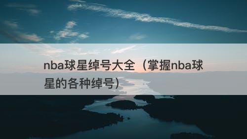 nba球星绰号大全（掌握nba球星的各种绰号）-图1