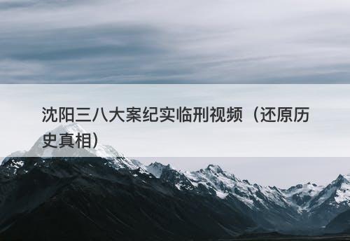沈阳三八大案纪实临刑视频（还原历史真相）-图1