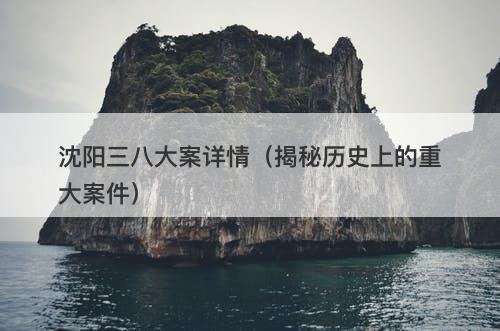 沈阳三八大案详情（揭秘历史上的重大案件）-图1