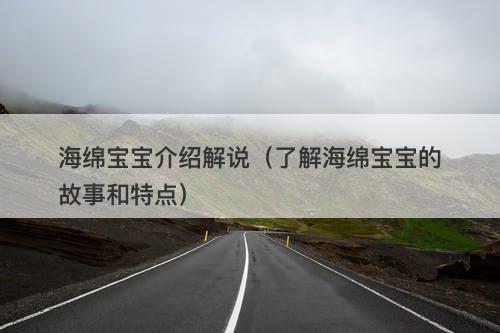 海绵宝宝介绍解说（了解海绵宝宝的故事和特点）-图1
