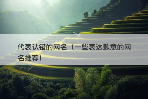 代表认错的网名（一些表达歉意的网名推荐）-图1