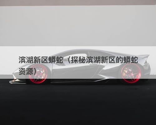 滨湖新区蟒蛇（探秘滨湖新区的蟒蛇资源）-图1