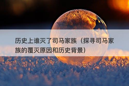 历史上谁灭了司马家族（探寻司马家族的覆灭原因和历史背景）-图1