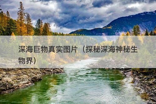 深海巨物真实图片（探秘深海神秘生物界）-图1