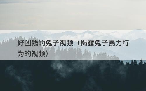 好凶残的兔子视频（揭露兔子暴力行为的视频）-图1