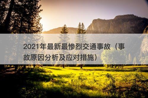 2021年最新最惨烈交通事故(事故原因分析及应对措施)-图1 2021年最新最惨烈交通事故(事故原因分析及应对措施)-图1