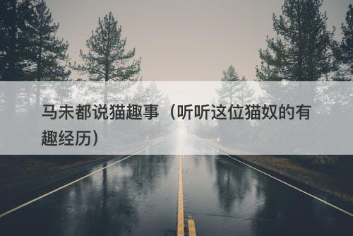 马未都说猫趣事（听听这位猫奴的有趣经历）-图1