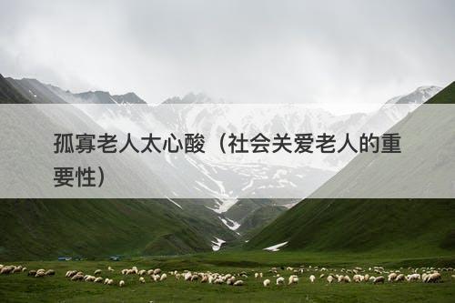 孤寡老人太心酸（社会关爱老人的重要性）-图1