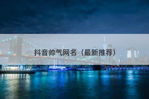 抖音帅气网名（最新推荐）-图1