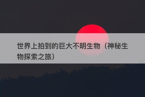 世界上拍到的巨大不明生物（神秘生物探索之旅）-图1