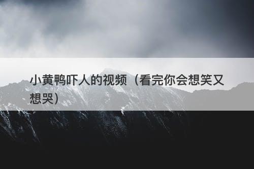 小黄鸭吓人的视频（看完你会想笑又想哭）-图1