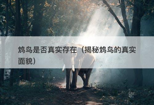 鸩鸟是否真实存在（揭秘鸩鸟的真实面貌）-图1