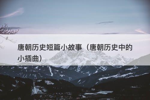 唐朝历史短篇小故事（唐朝历史中的小插曲）-图1