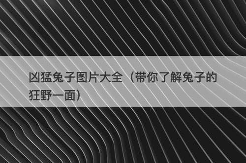 凶猛兔子图片大全(带你了解兔子的狂野一面)-图1 凶猛兔子图片大全(带你了解兔子的狂野一面)-图1