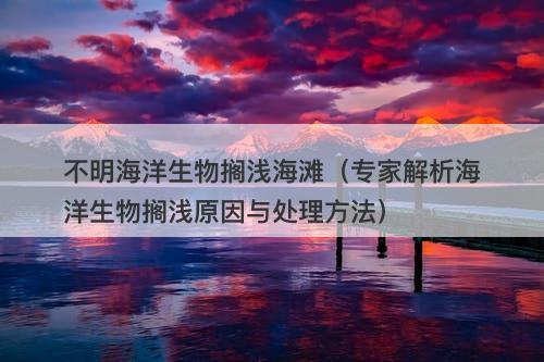 不明海洋生物搁浅海滩（专家解析海洋生物搁浅原因与处理方法）-图1