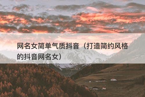 网名女简单气质抖音（打造简约风格的抖音网名女）-图1