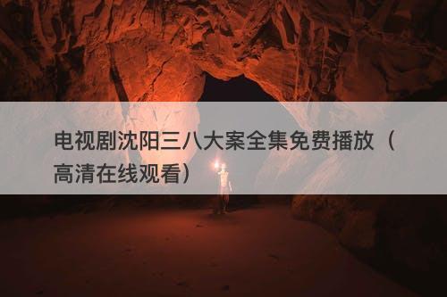 电视剧沈阳三八大案全集免费播放（高清在线观看）