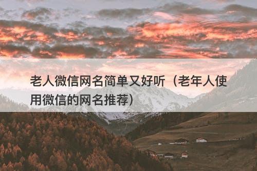 老人微信网名简单又好听（老年人使用微信的网名推荐）-图1
