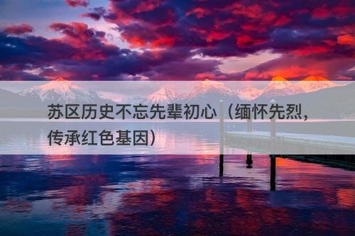 苏区历史不忘先辈初心（缅怀先烈，传承红色基因）