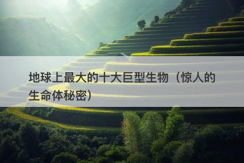 地球上最大的十大巨型生物（惊人的生命体秘密）-图1