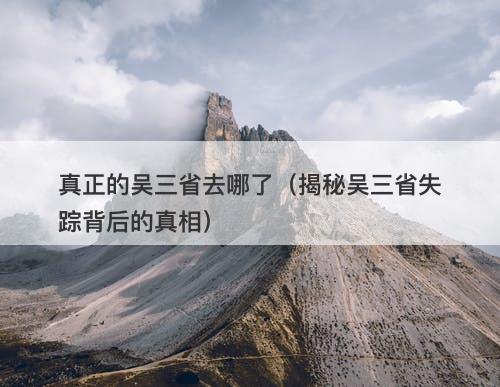 真正的吴三省去哪了（揭秘吴三省失踪背后的真相）