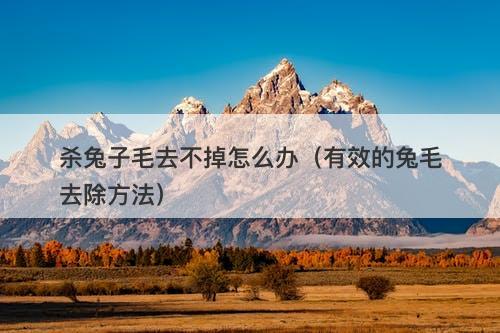 杀兔子毛去不掉怎么办（有效的兔毛去除方法）