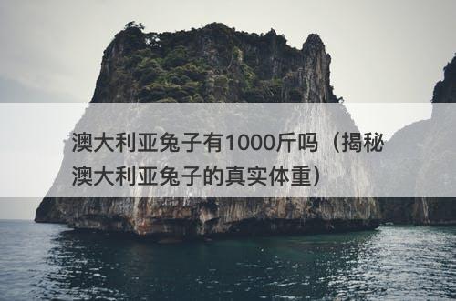澳大利亚兔子有1000斤吗（揭秘澳大利亚兔子的真实体重）-图1