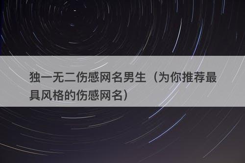 独一无二伤感网名男生（为你推荐最具风格的伤感网名）-图1
