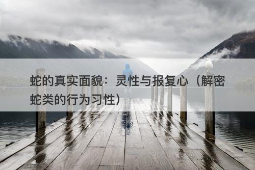 蛇的真实面貌：灵性与报复心（解密蛇类的行为习性）-图1