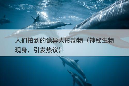 人们拍到的诡异人形动物（神秘生物现身，引发热议）-图1