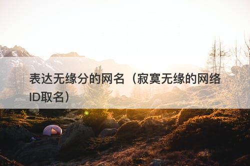 表达无缘分的网名（寂寞无缘的网络ID取名）-图1
