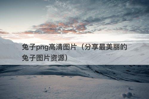 兔子png高清图片（分享最美丽的兔子图片资源）