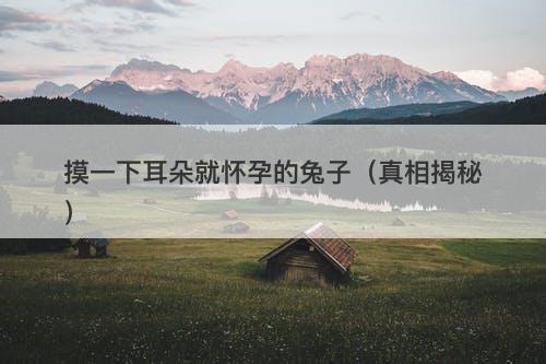 摸一下耳朵就怀孕的兔子(真相揭秘)-图1 摸一下耳朵就怀孕的兔子(真相揭秘)-图1