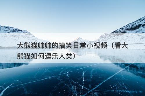 大熊猫帅帅的搞笑日常小视频（看大熊猫如何逗乐人类）-图1