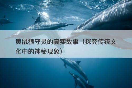黄鼠狼守灵的真实故事（探究传统文化中的神秘现象）