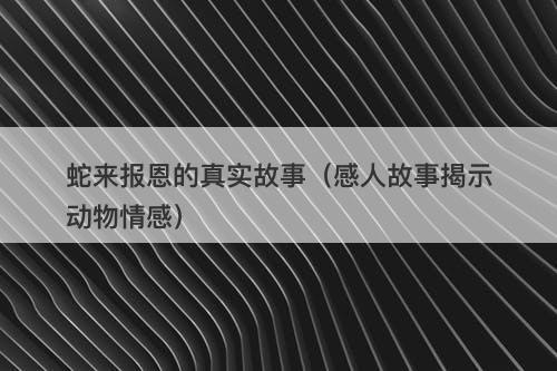 蛇来报恩的真实故事（感人故事揭示动物情感）