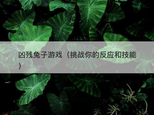 凶残兔子游戏（挑战你的反应和技能）-图1