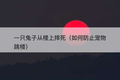 一只兔子从楼上摔死（如何防止宠物跳楼）