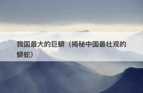 我国最大的巨蟒（揭秘中国最壮观的蟒蛇）-图1